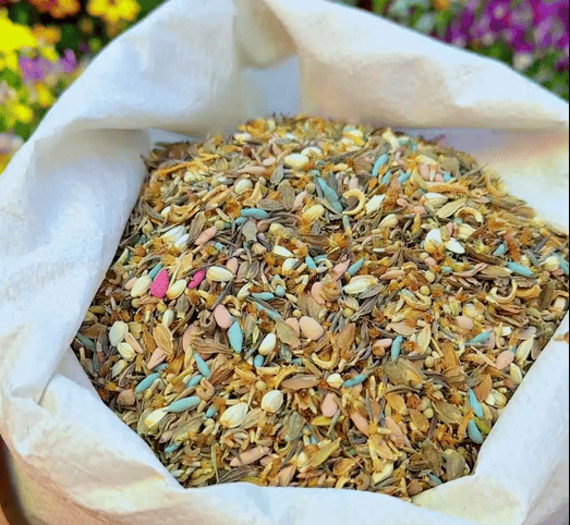NordicBloom™ – Färgstark Blomstermix med över 60 Sorter (1000 st)