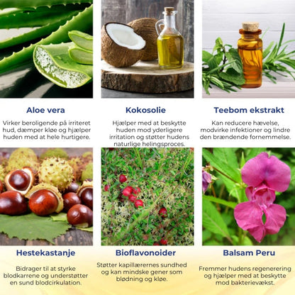 HaemoLind™ – Snabbverkande, örtbaserad spray mot hemorrojder