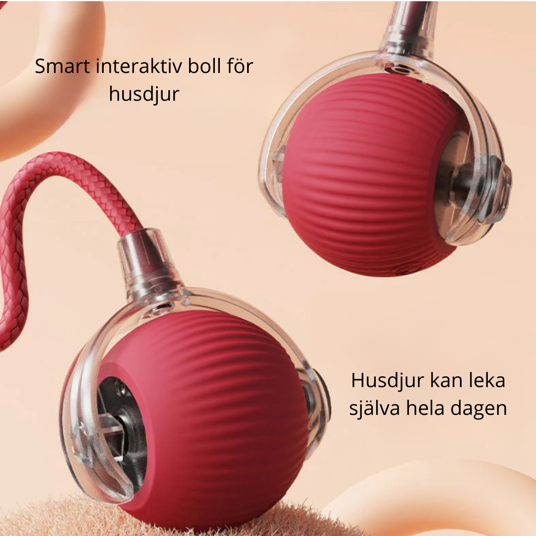 TassTrigger™ – sensorstyrd jaktleksak