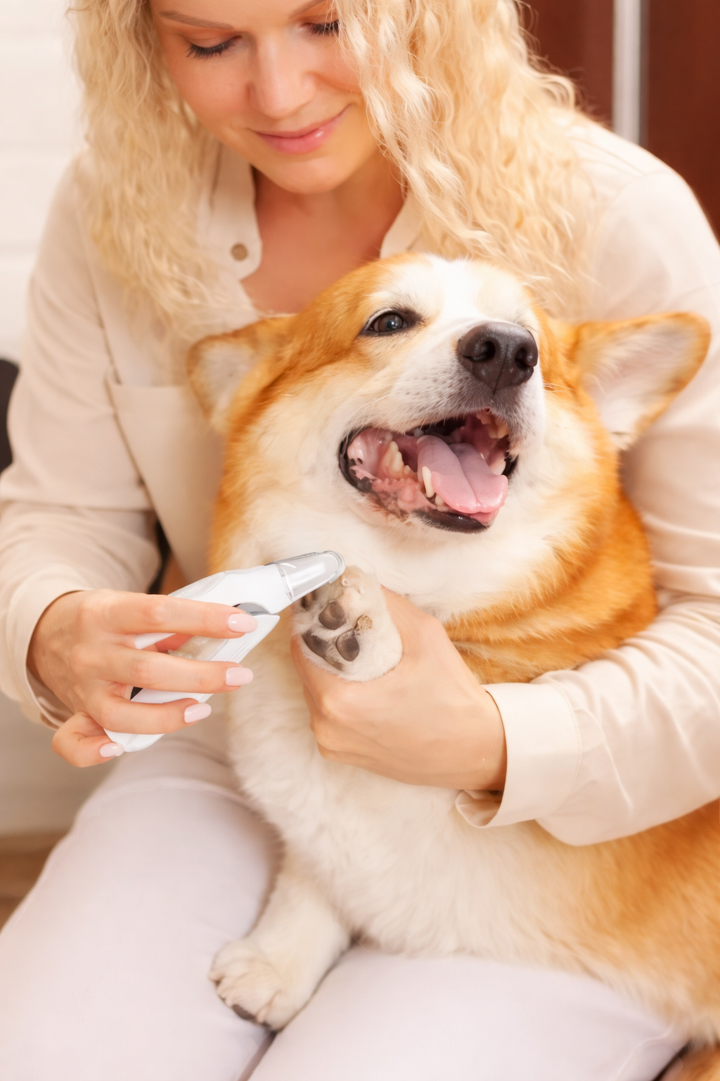 Klotrimmer med LED-ljus – Precisionstrimmer för Säker Klovård på Husdjur