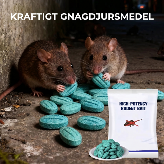 Rattfri™ – Professionell Bekämpning av Råttor och Möss