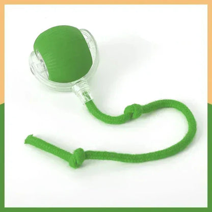 TassTrigger™ – sensorstyrd jaktleksak