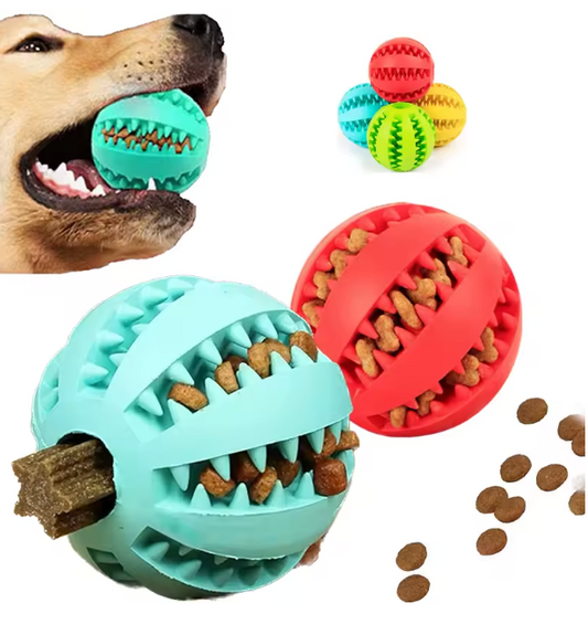 TandRens™ - Interaktiv hundboll