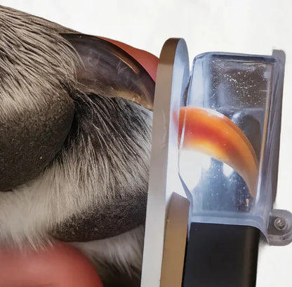 Klotrimmer med LED-ljus – Precisionstrimmer för Säker Klovård på Husdjur