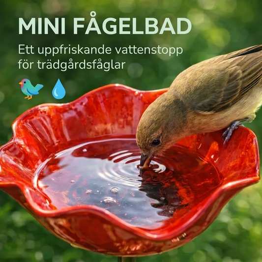 AviFlora™ – Botanisk Vattenstation för Fåglar, Bin & Fjärilar
