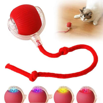 TassTrigger™ – sensorstyrd jaktleksak